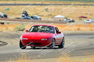 media/Sep-08-2024-VIP Trackdays (Sun) [[e20bd699b9]]/C Group/Session 3-Turns 5 6 and 7/